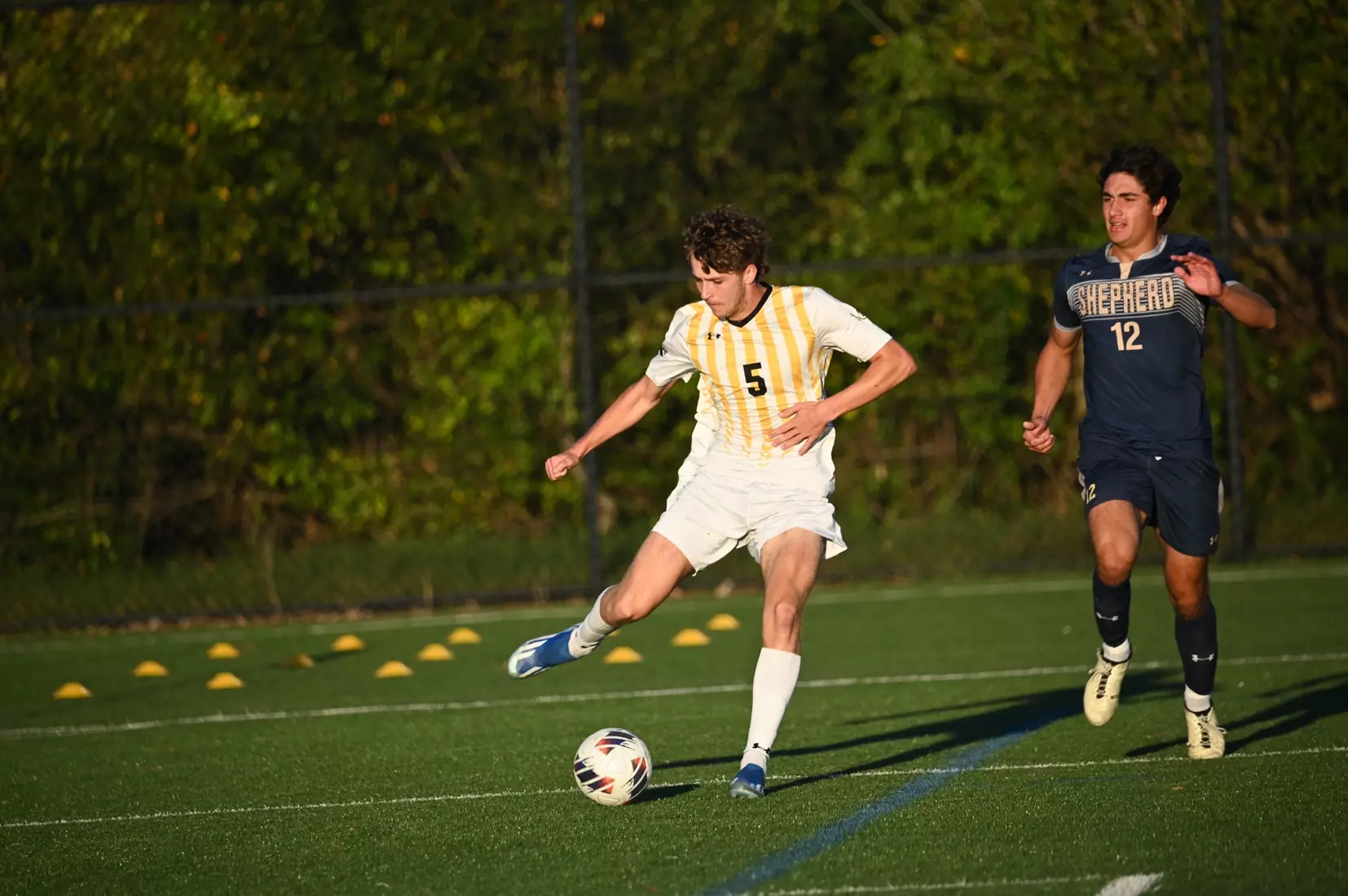 MSOC vs. Shepherd