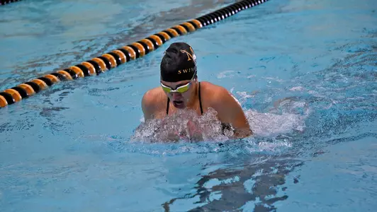 breaststroke