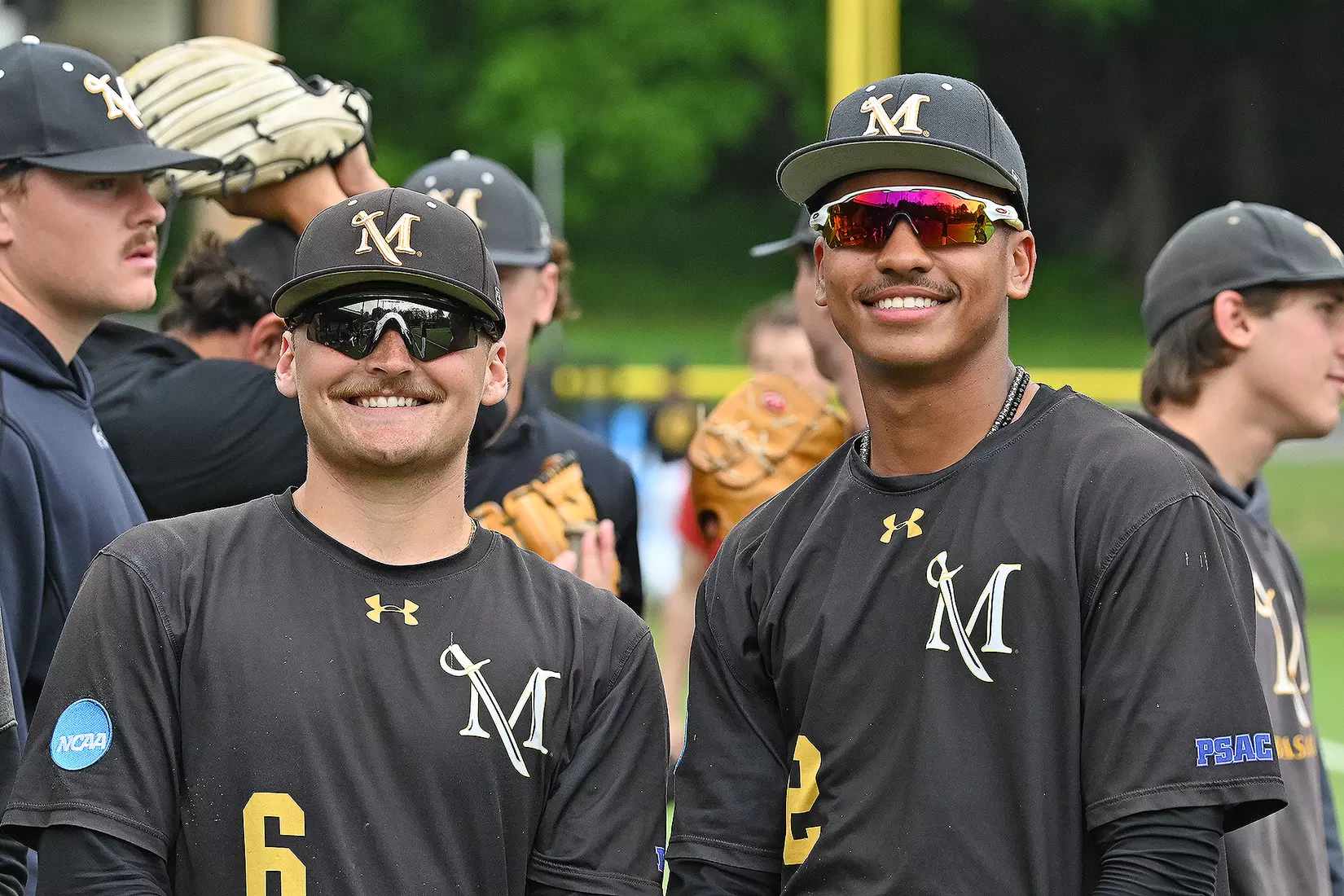 Baseball vs. Seton Hill (NCAA Regional)