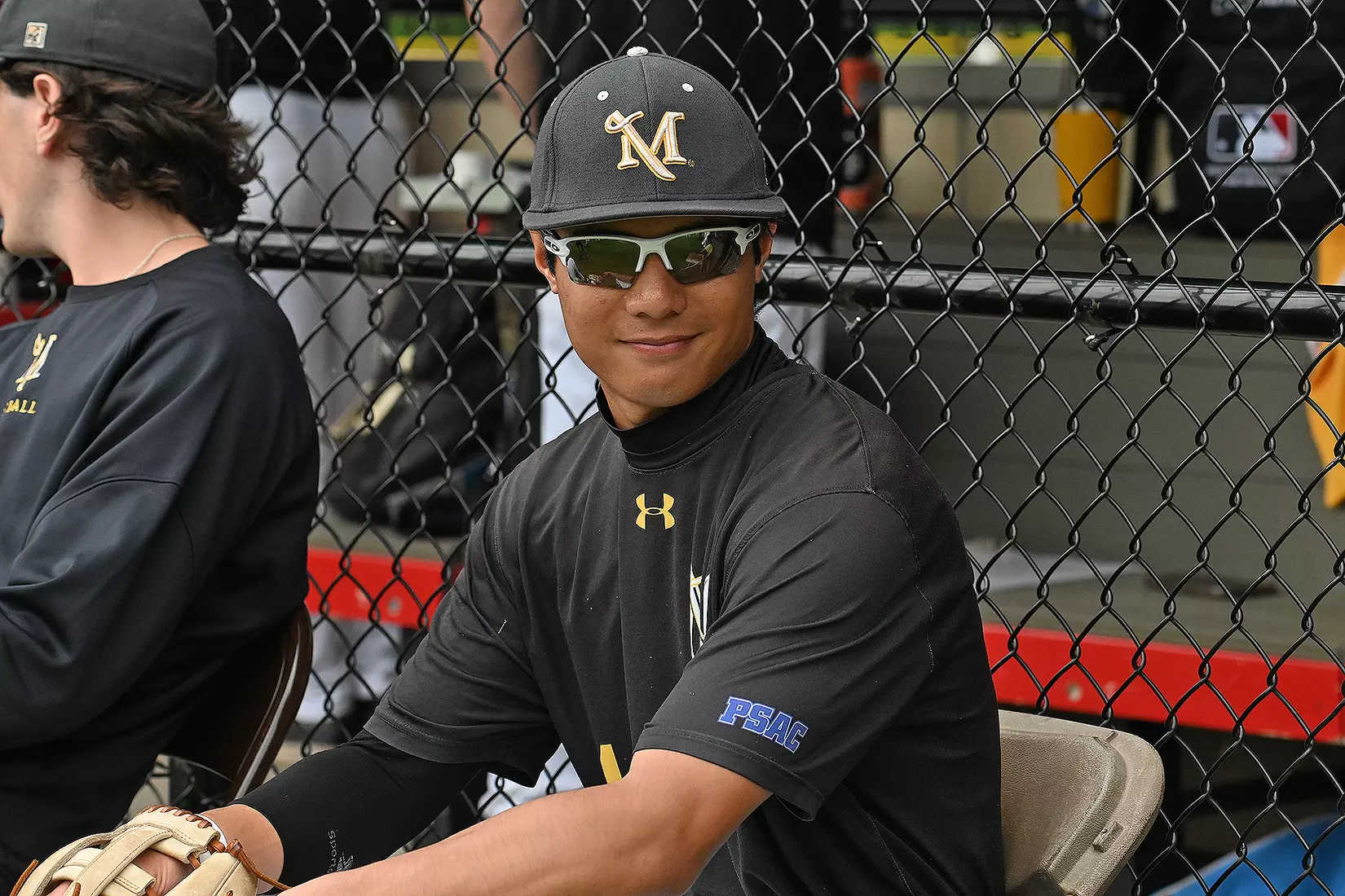 Baseball vs. Seton Hill (NCAA Regional)
