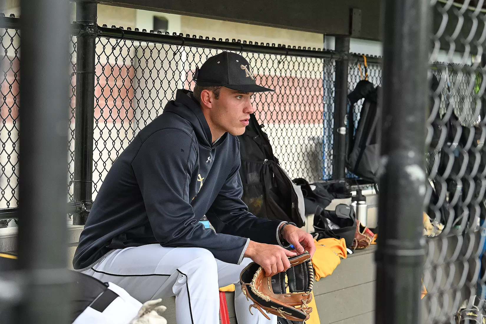 Baseball vs. Seton Hill (NCAA Regional)