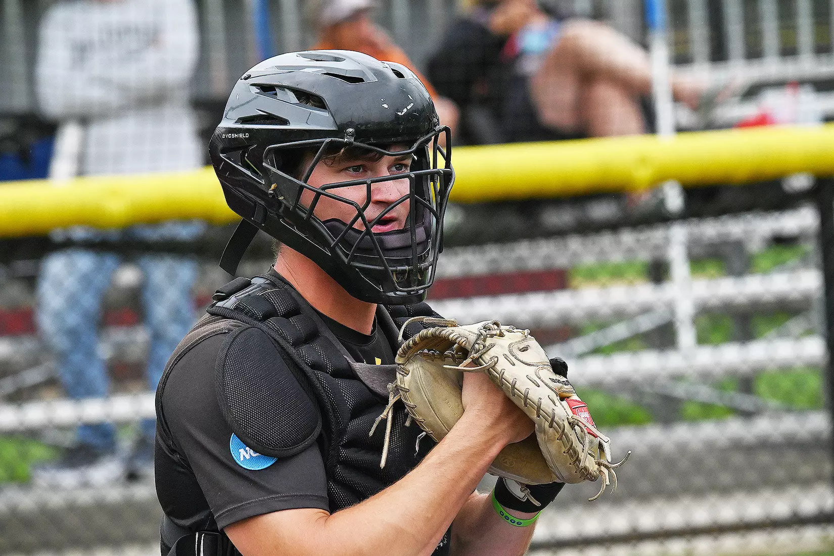 Baseball vs. Seton Hill (NCAA Regional)