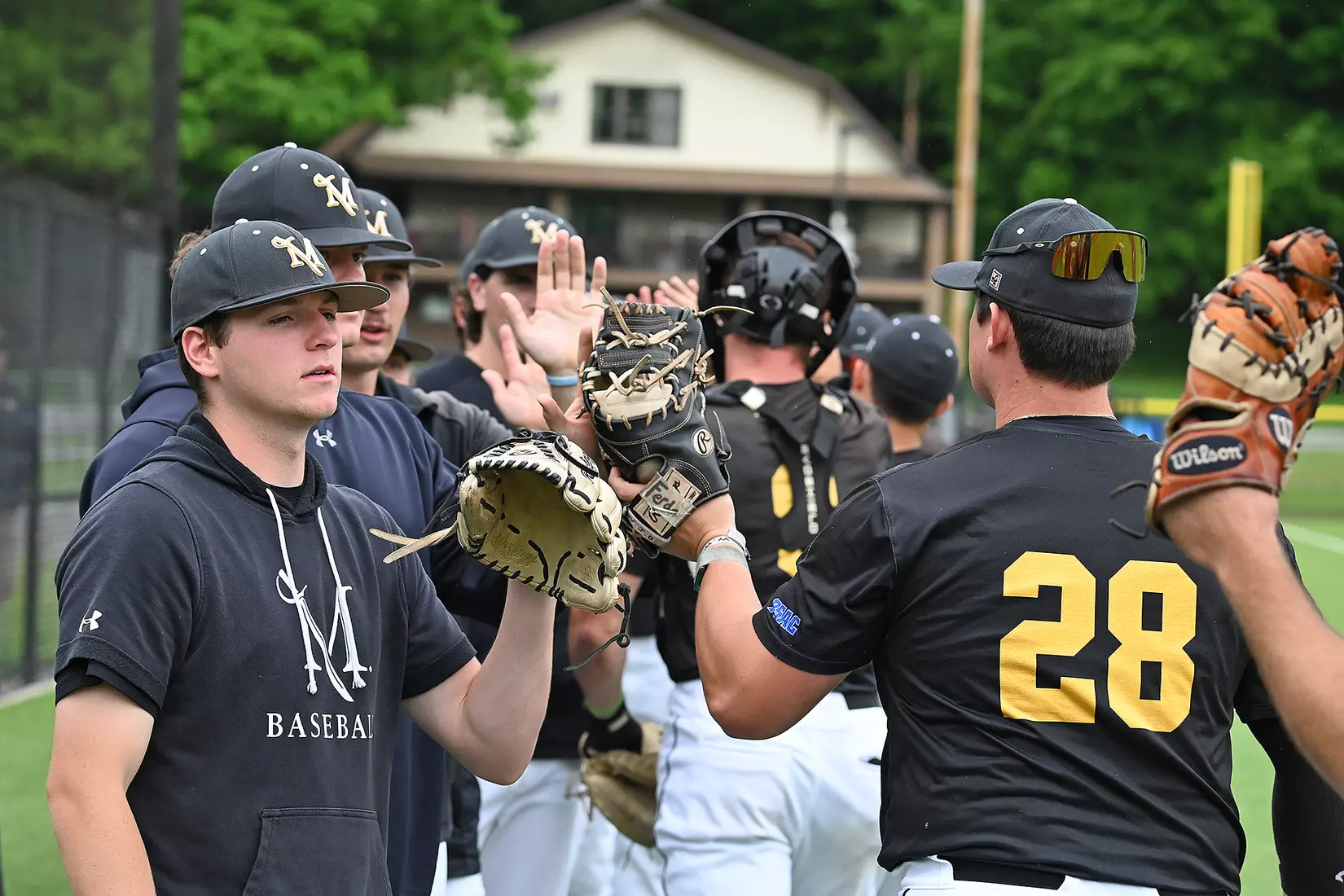 Baseball vs. Seton Hill (NCAA Regional)