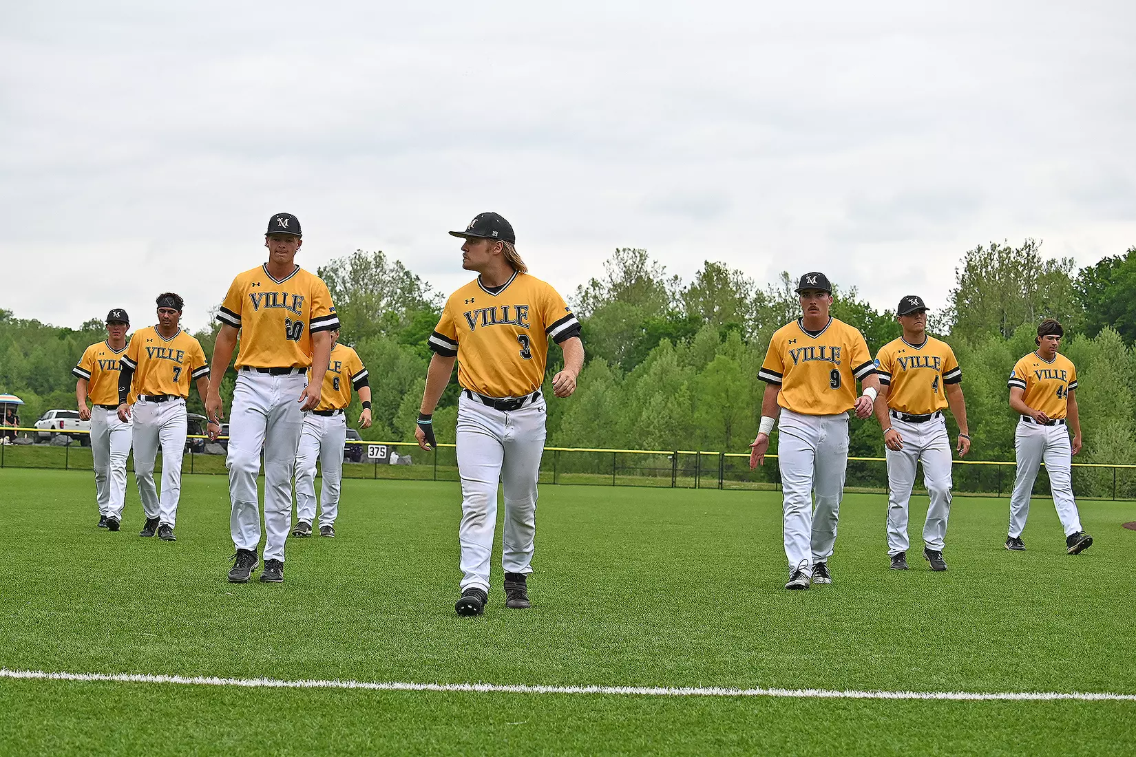 Baseball vs. Seton Hill (NCAA Regional)