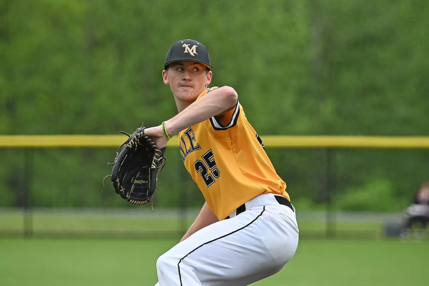Baseball vs. Seton Hill (NCAA Regional)