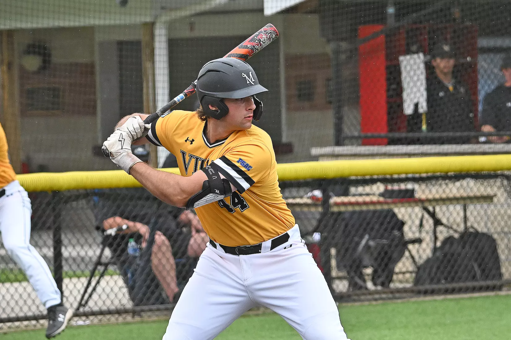Baseball vs. Seton Hill (NCAA Regional)