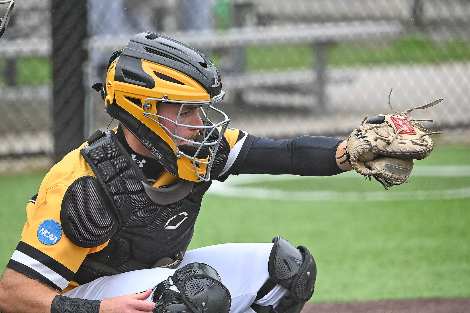 Baseball vs. Seton Hill (NCAA Regional)