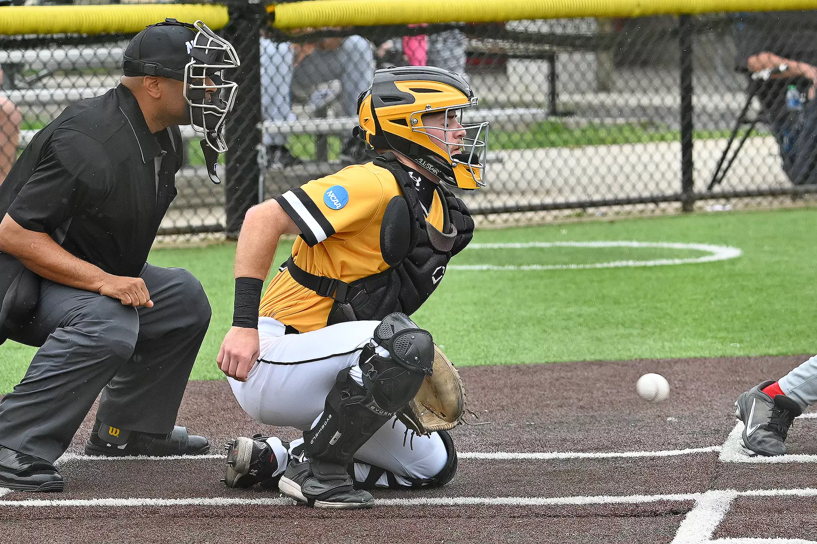Baseball vs. Seton Hill (NCAA Regional)