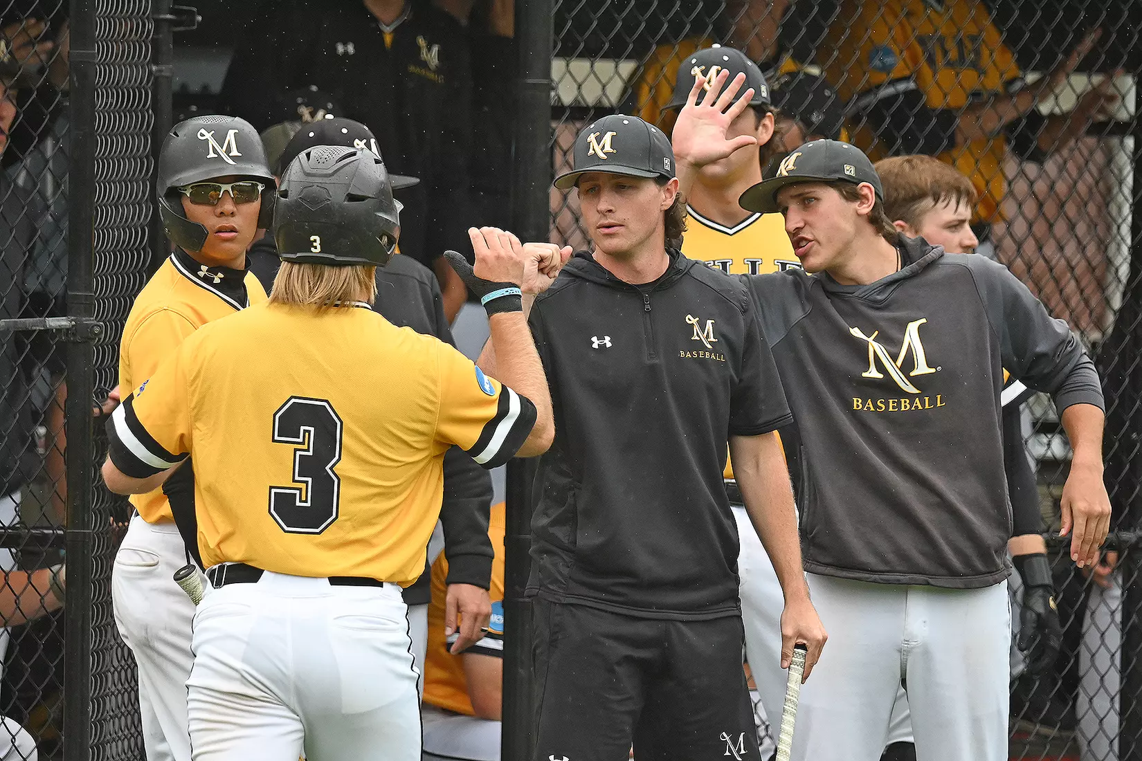 Baseball vs. Seton Hill (NCAA Regional)