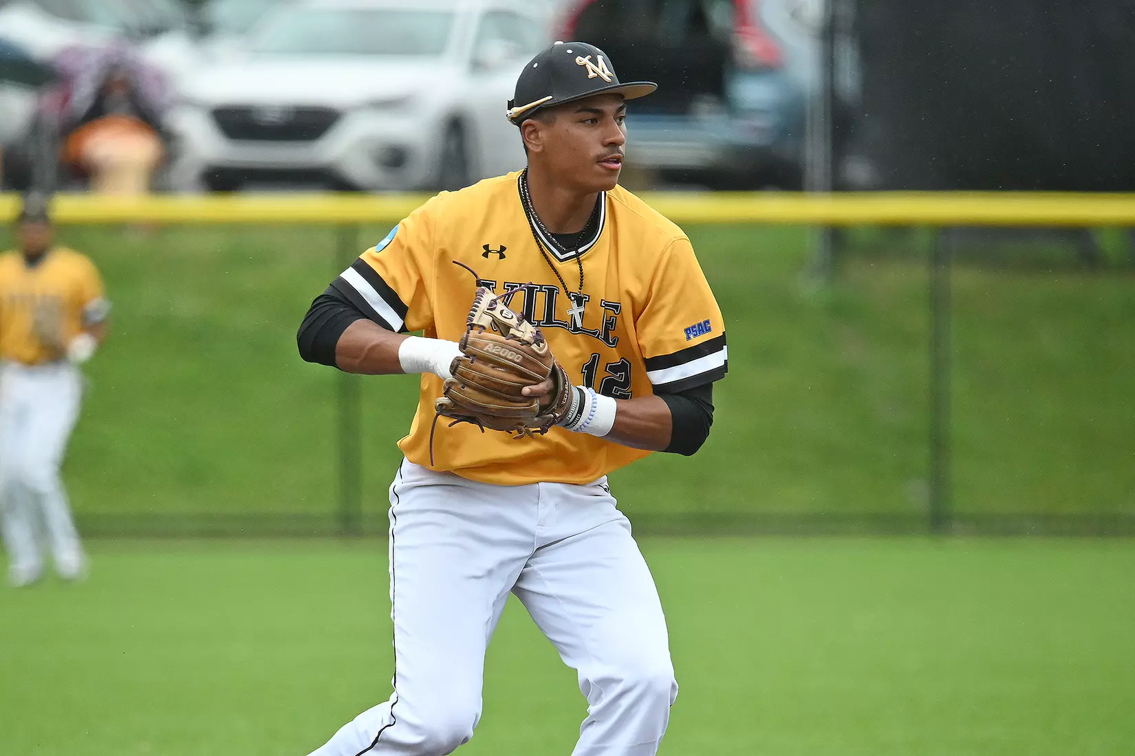 Baseball vs. Seton Hill (NCAA Regional)
