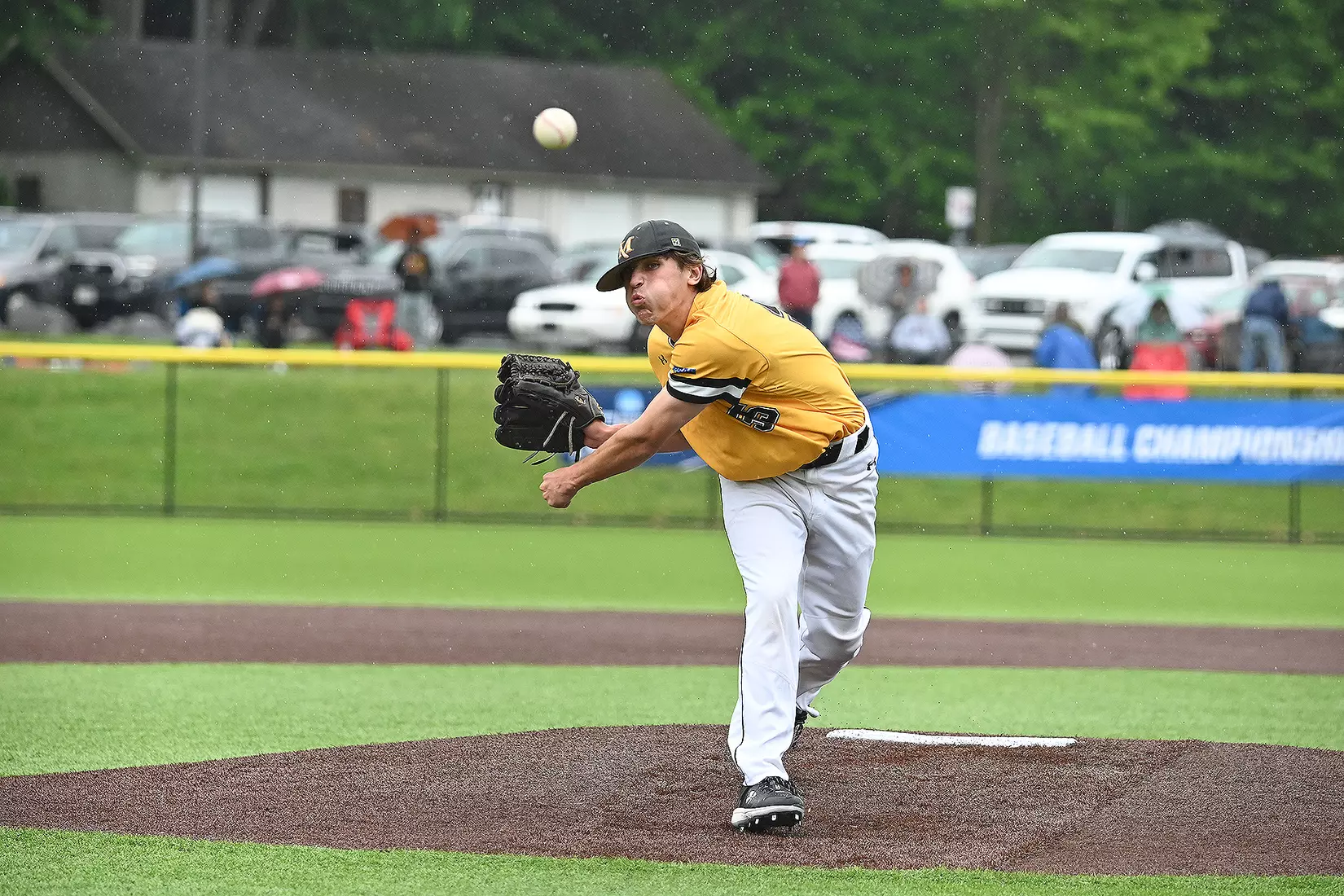 Baseball vs. Seton Hill (NCAA Regional)