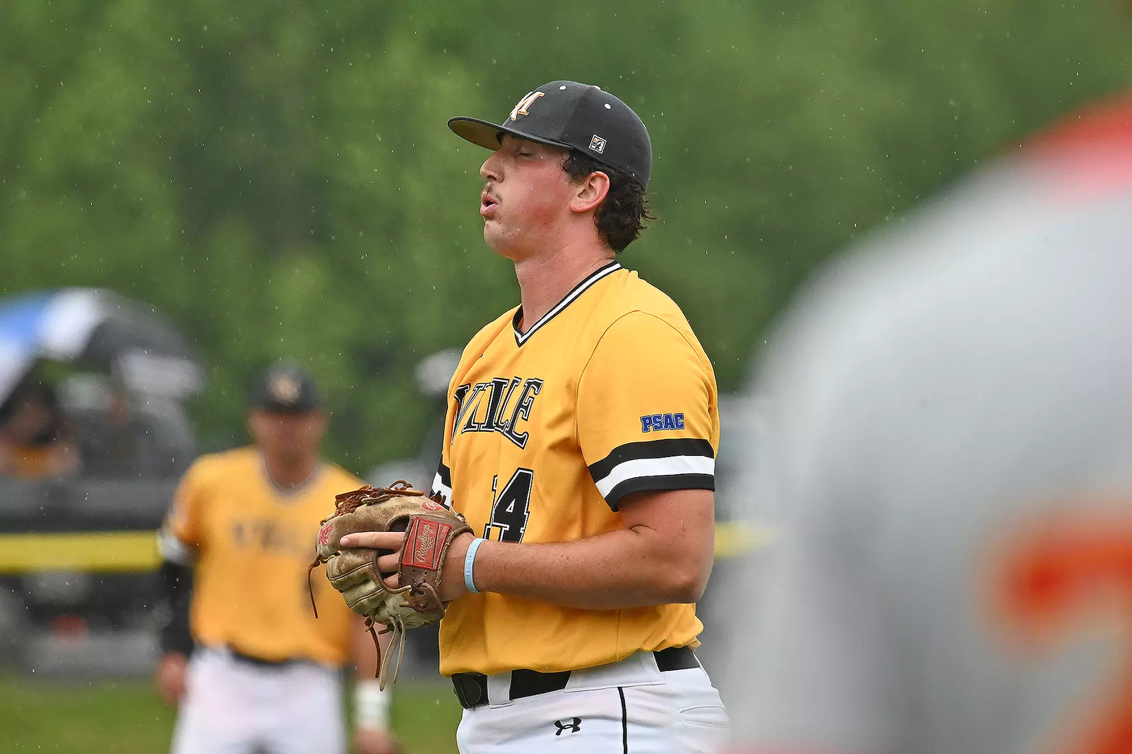 Baseball vs. Seton Hill (NCAA Regional)