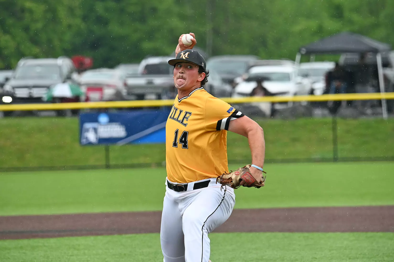 Baseball vs. Seton Hill (NCAA Regional)