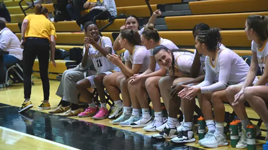 WBB Bench