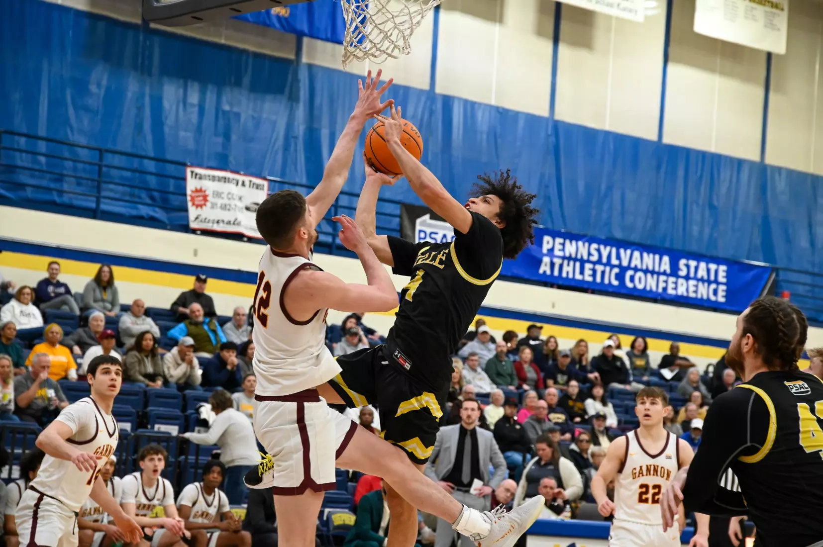 Millersville vs. Gannon (PSAC Semifinals)