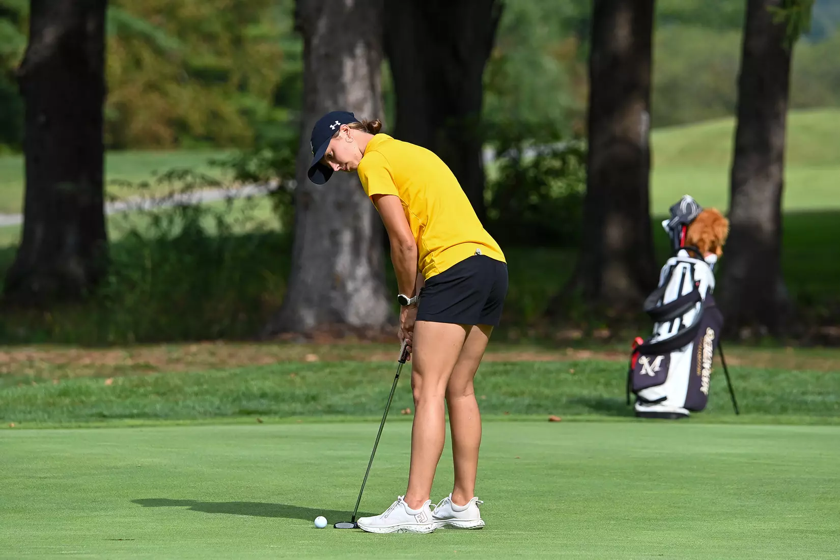 Millersville women's golf hosting 2025 Fall Invitational at Berkleigh Golf Club