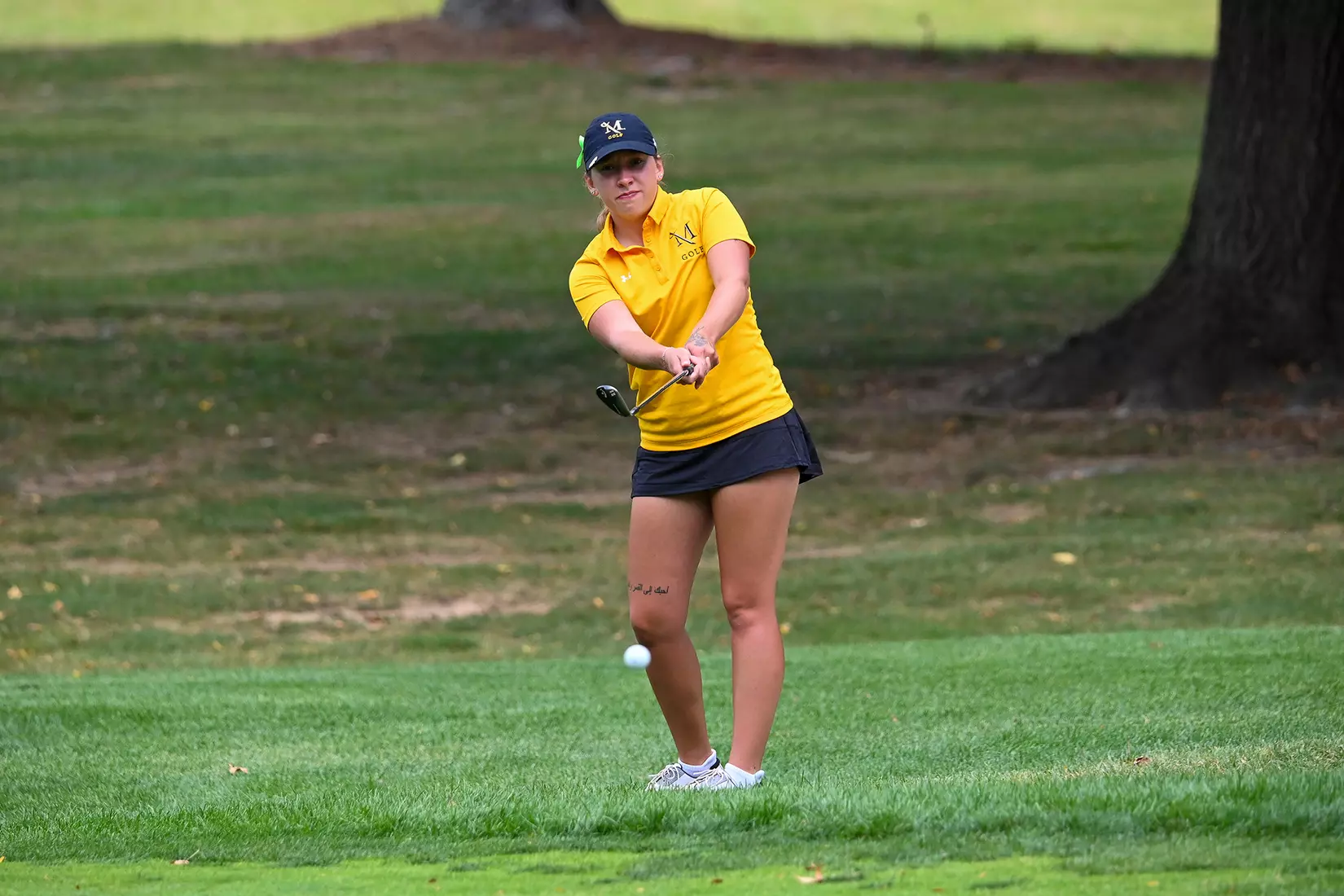 Millersville women's golf hosting 2025 Fall Invitational at Berkleigh Golf Club