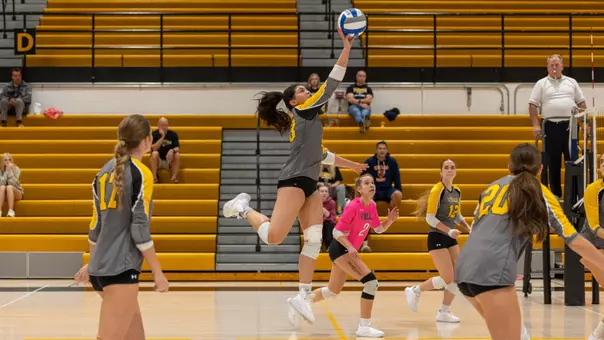 VB vs Bowie St