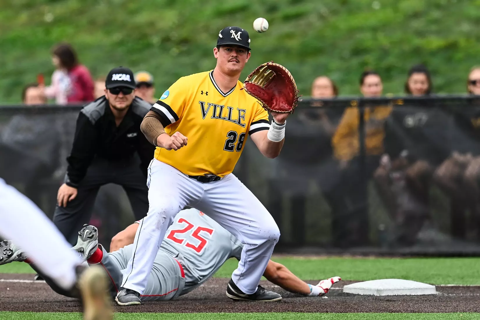 Millersville vs. Seton Hill in NCAA Atlantic Regional baseball action at Cooper Park in Millersville on Friday, May 15, 2026. Mark Palczewski Photo.