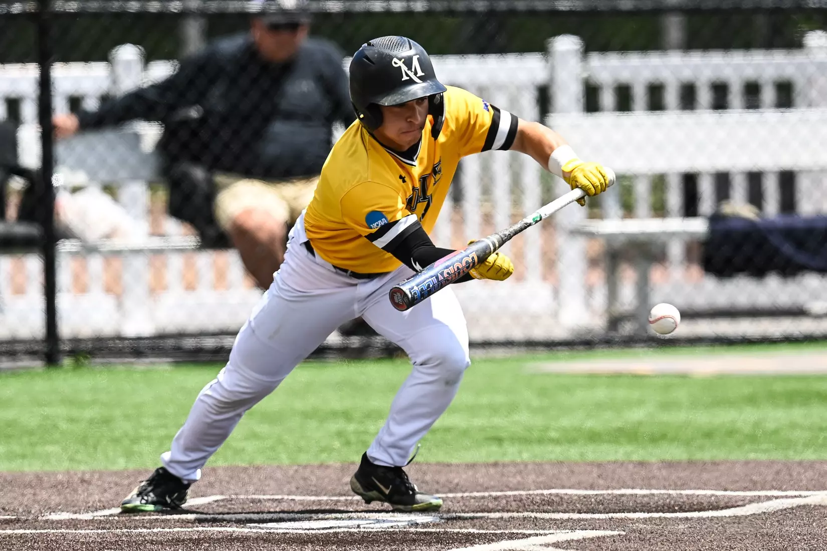 Millersville vs. Seton Hill in NCAA Atlantic Regional baseball action at Cooper Park in Millersville on Friday, May 15, 2026. Mark Palczewski Photo.