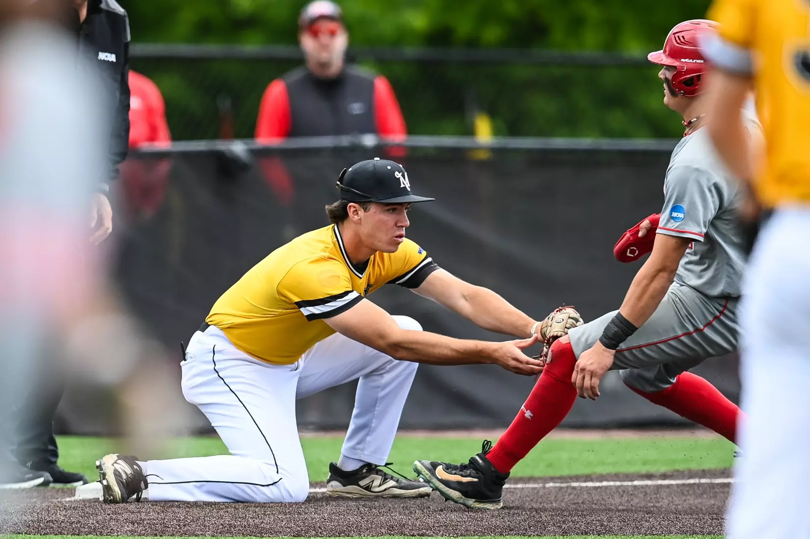 Millersville vs. Seton Hill in NCAA Atlantic Regional baseball action at Cooper Park in Millersville on Friday, May 15, 2026. Mark Palczewski Photo.