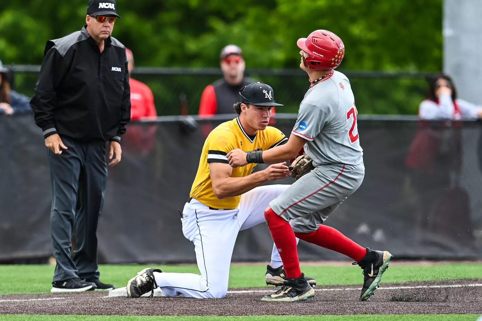 Millersville vs. Seton Hill in NCAA Atlantic Regional baseball action at Cooper Park in Millersville on Friday, May 15, 2026. Mark Palczewski Photo.