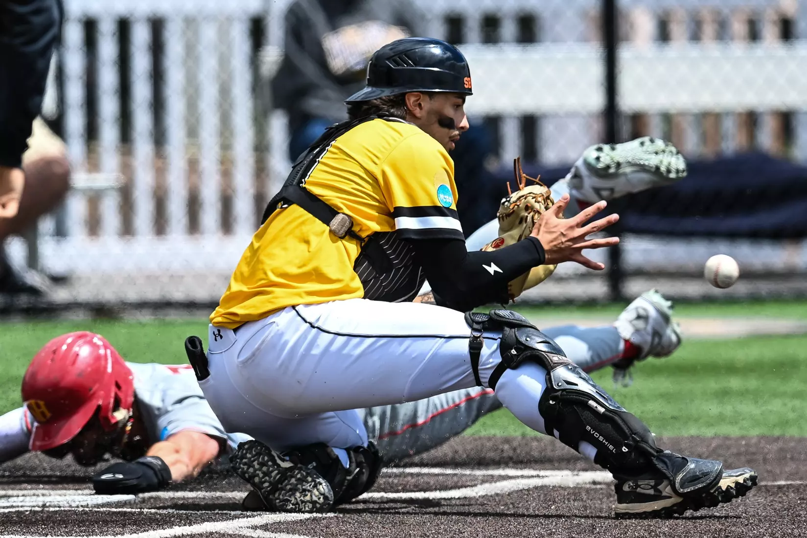 Millersville vs. Seton Hill in NCAA Atlantic Regional baseball action at Cooper Park in Millersville on Friday, May 15, 2026. Mark Palczewski Photo.
