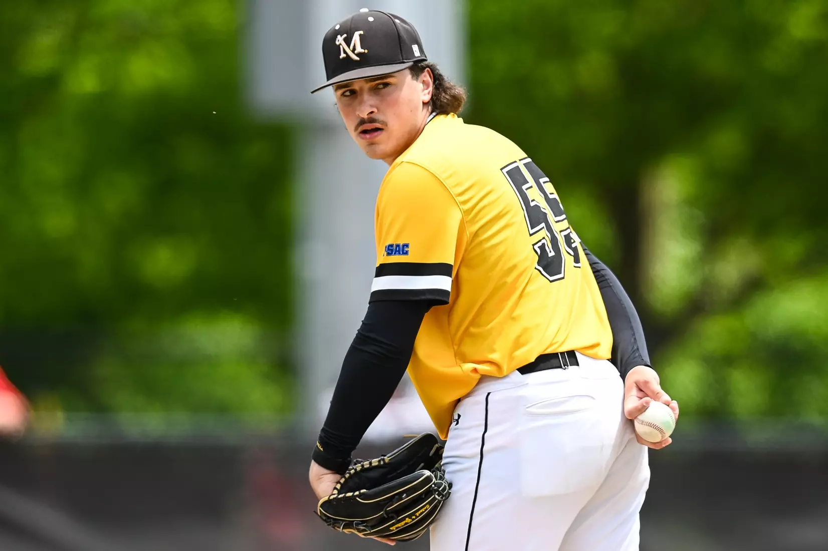 Millersville vs. Seton Hill in NCAA Atlantic Regional baseball action at Cooper Park in Millersville on Friday, May 15, 2026. Mark Palczewski Photo.