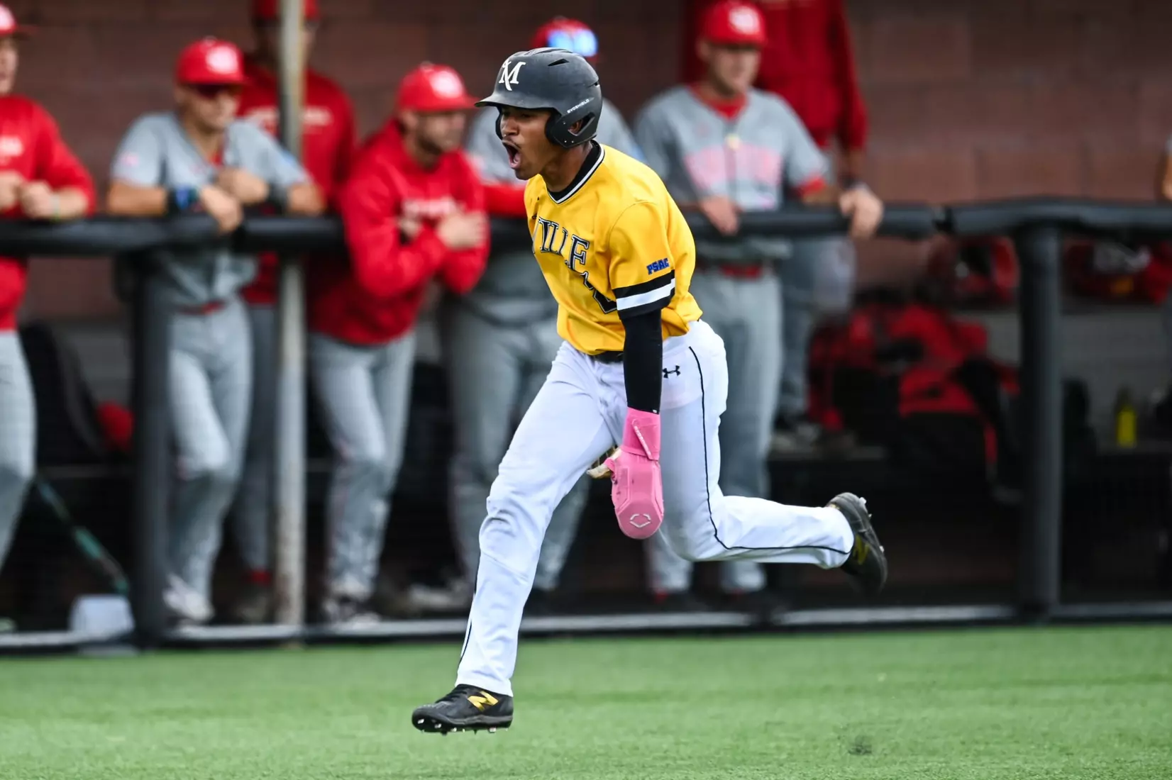 Millersville vs. Seton Hill in NCAA Atlantic Regional baseball action at Cooper Park in Millersville on Friday, May 15, 2026. Mark Palczewski Photo.