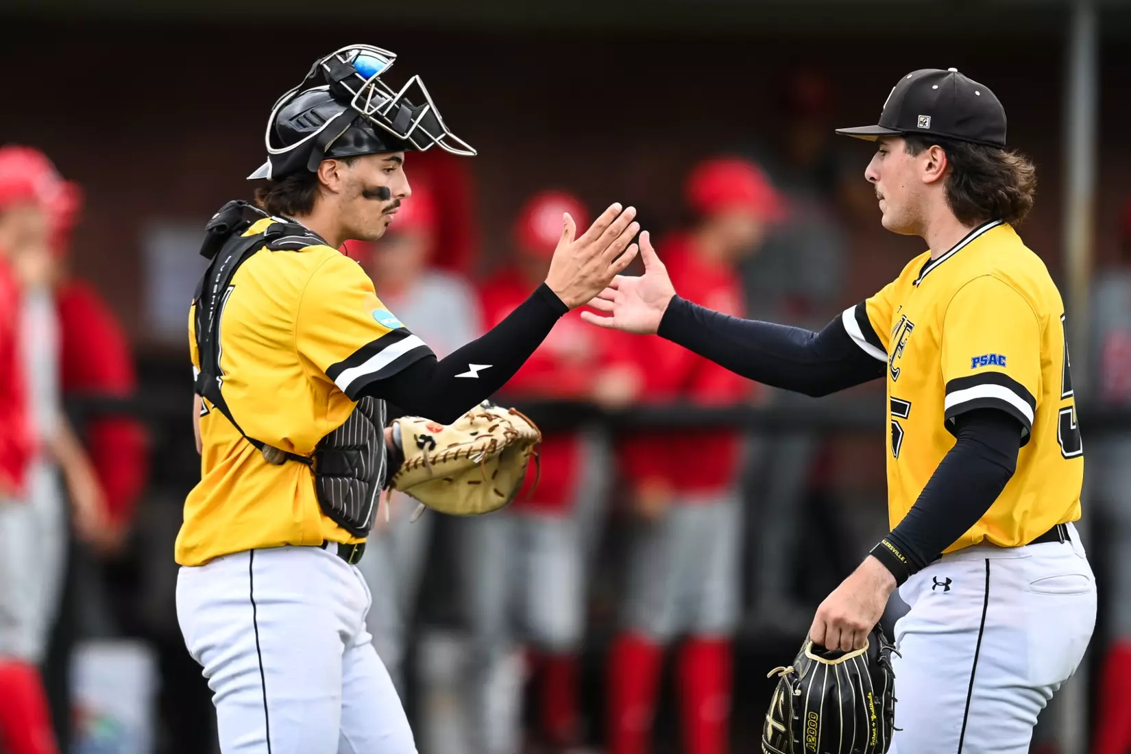Millersville vs. Seton Hill in NCAA Atlantic Regional baseball action at Cooper Park in Millersville on Friday, May 15, 2026. Mark Palczewski Photo.
