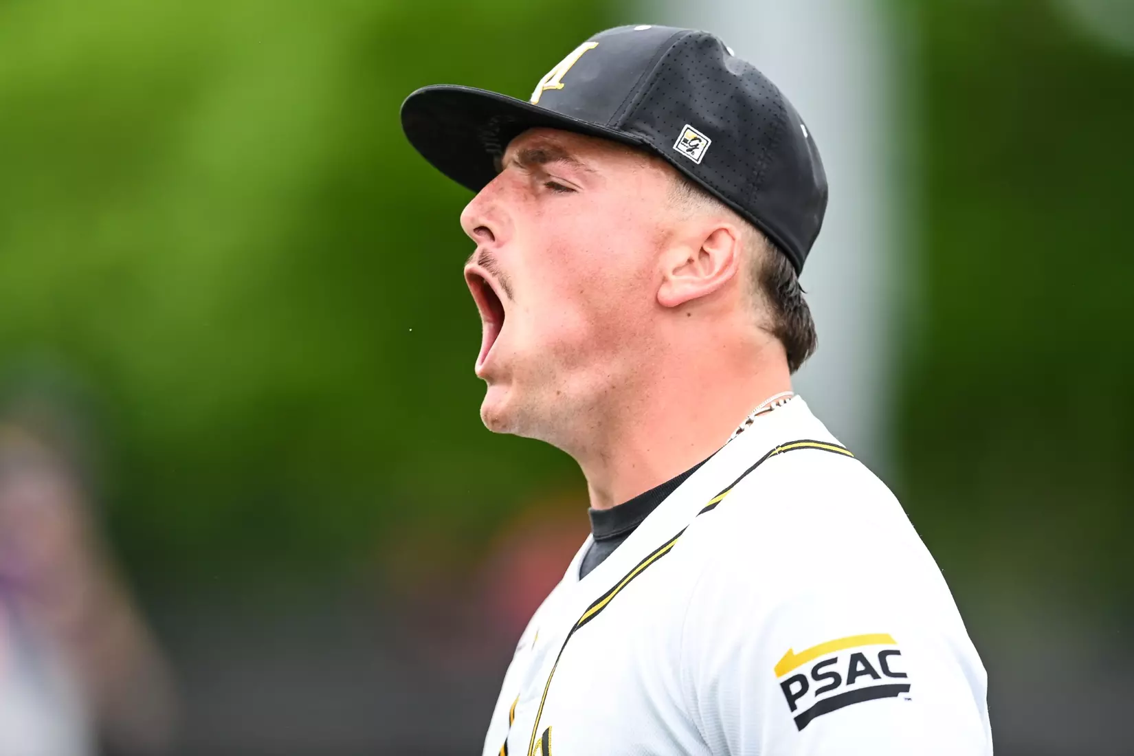 Millersville vs. West Chester in NCAA Super Regional baseball action at Cooper Park in Millersville on Friday, May 22, 2026. Mark Palczewski Photo.