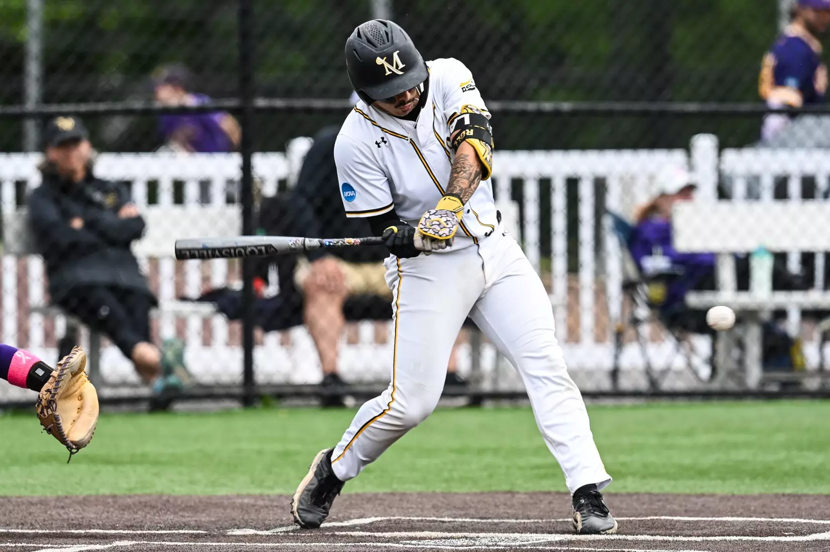 Millersville vs. West Chester in NCAA Super Regional baseball action at Cooper Park in Millersville on Friday, May 22, 2026. Mark Palczewski Photo.