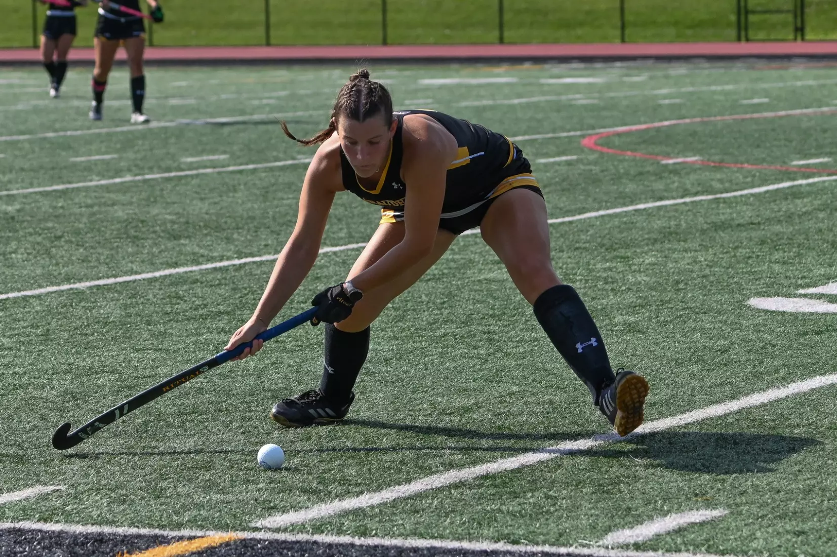 FH vs. Dominican