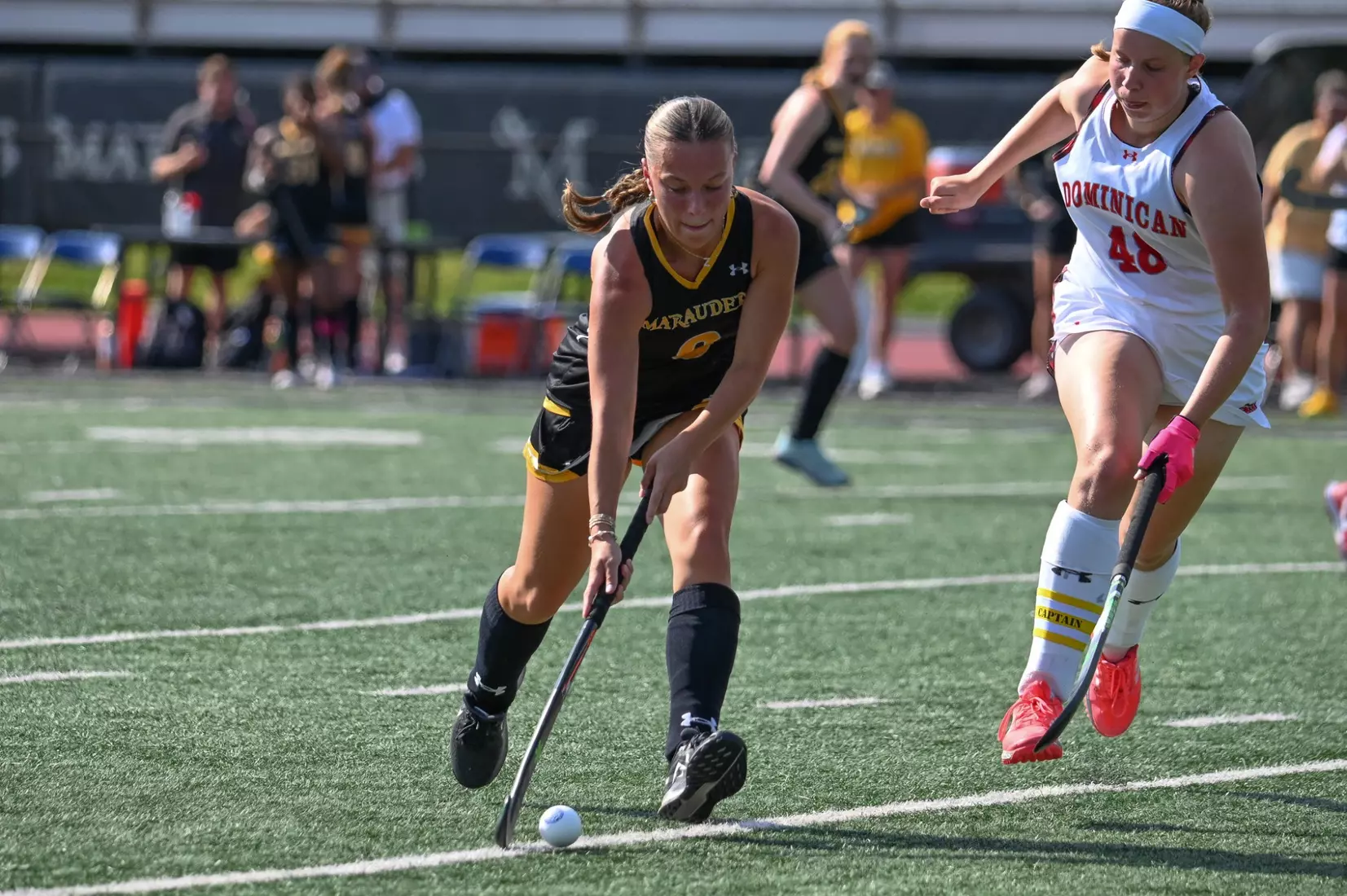 FH vs. Dominican