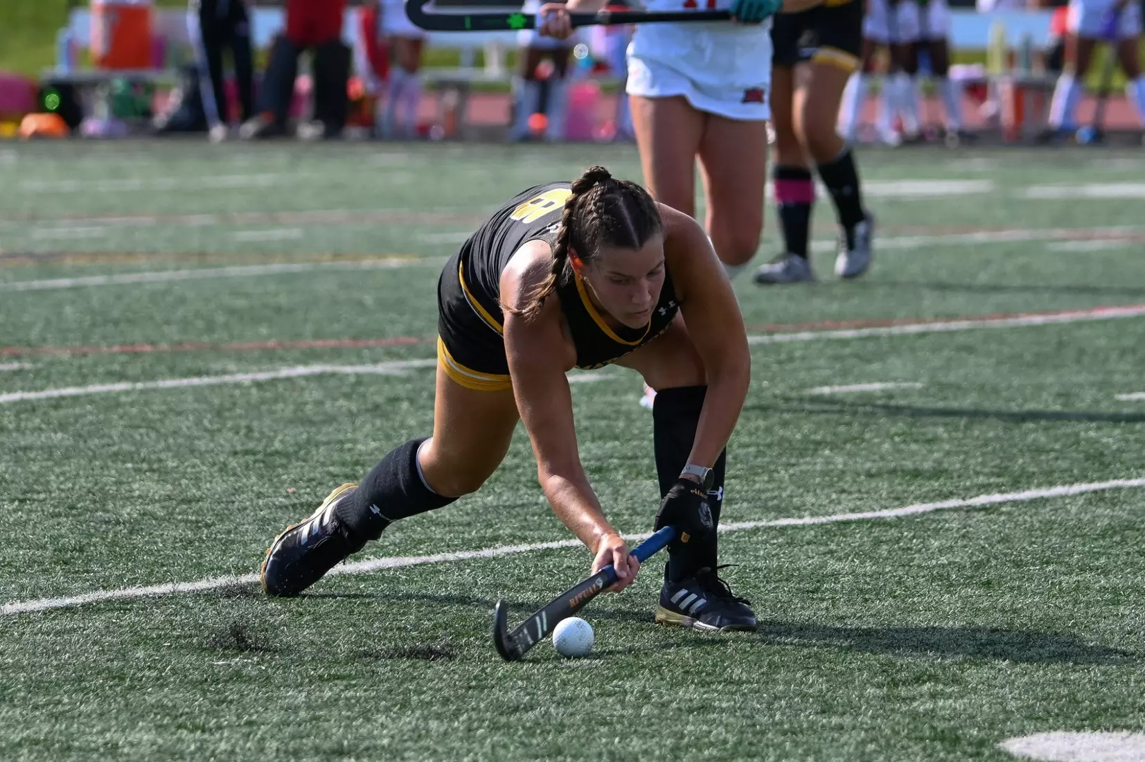 FH vs. Dominican