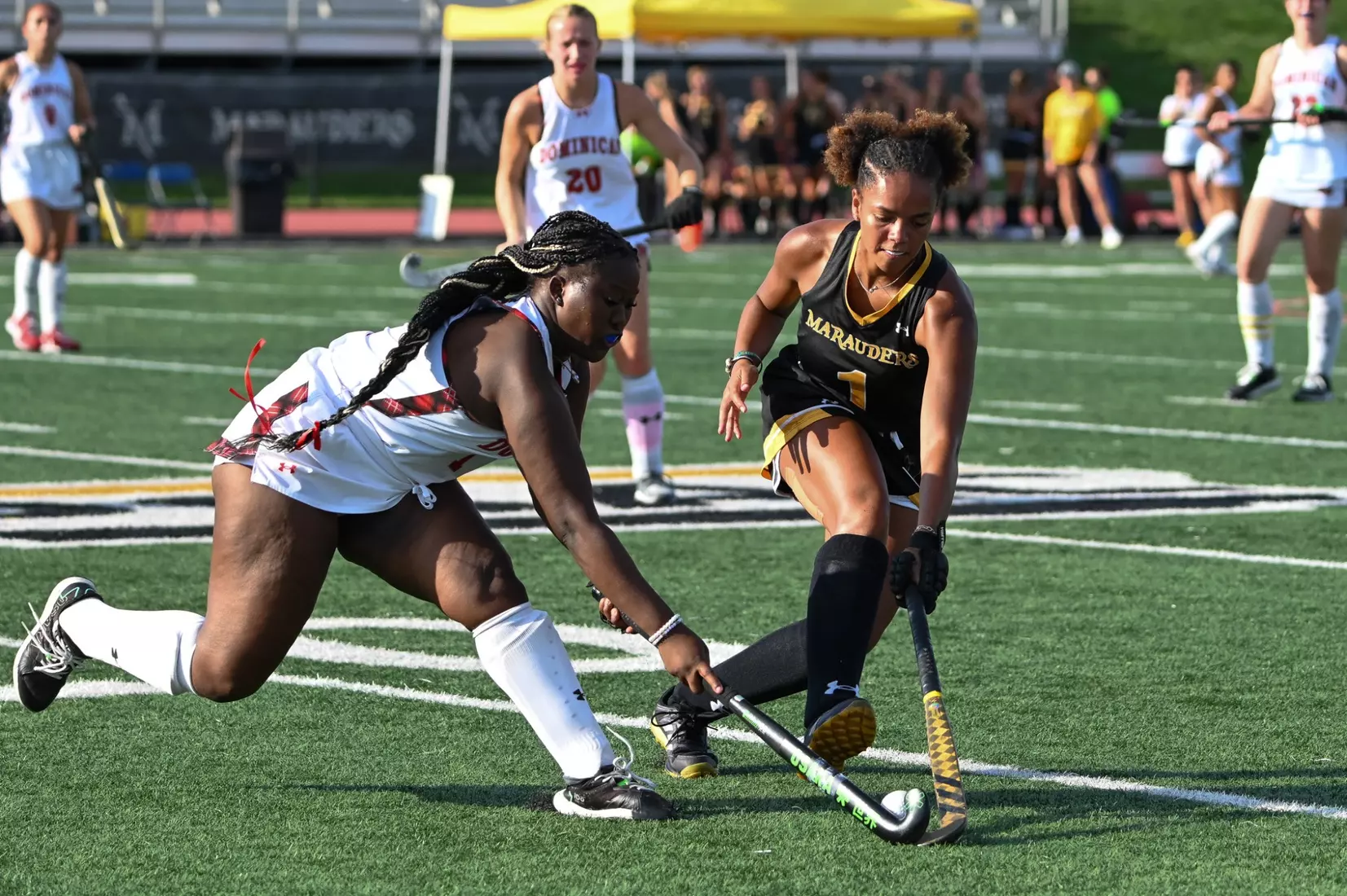 FH vs. Dominican