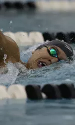 Miguel Davila