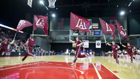 Cheer "Bears" Flags at Lady Bears MVC in Moline, IL