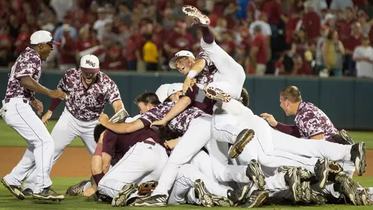 Baseball Dog Pile