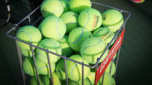 Tennis ball basket