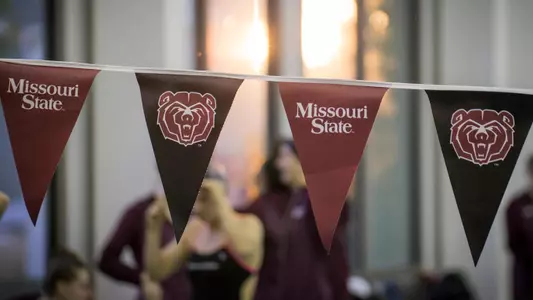 swimming flags