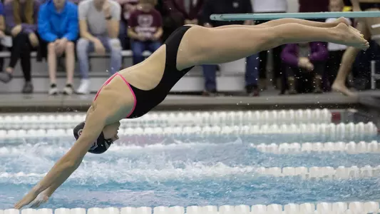 Swimmer