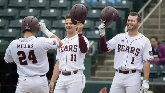 Bears