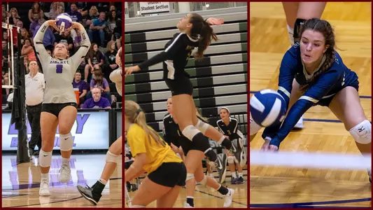 Volleyball signess