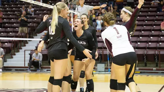 2019 volleyball team