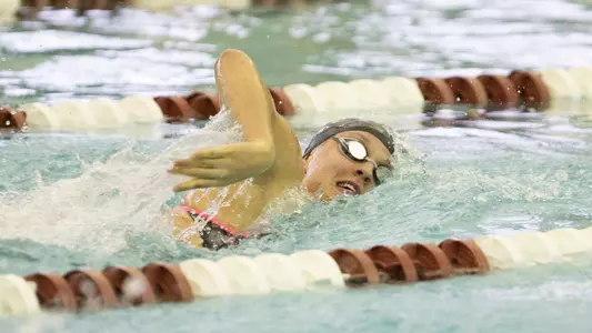 Swimmer