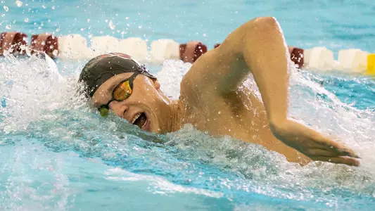 Swimmer