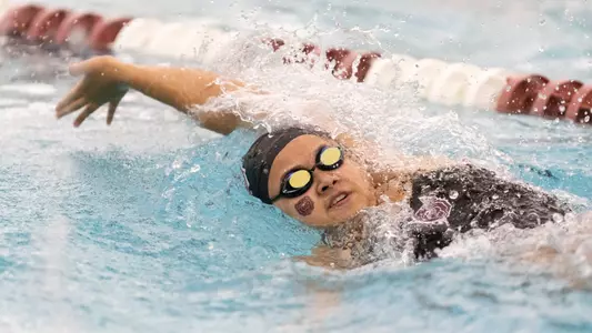 Swimming/Diving