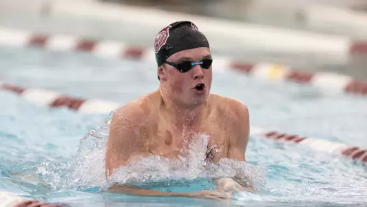 Swimming and Diving Preview Photo