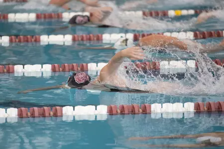 Swim & Dive
